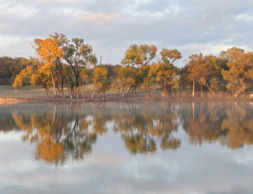 Lake in Texas