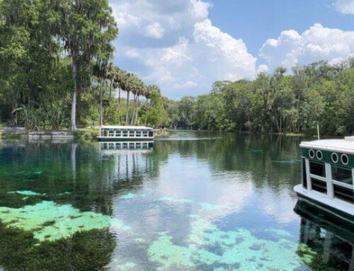 Silver Springs State Park