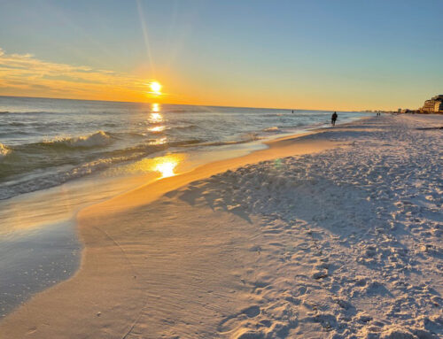 Sunset in Florida