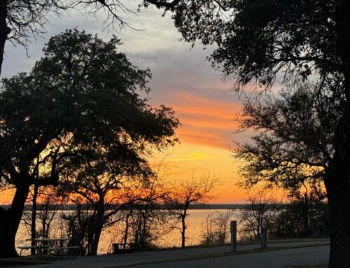 Lake Whitney State Park